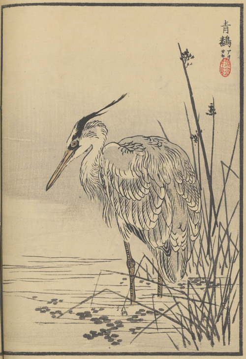 Selections from Bairei hyakuchō gafu by Bairei Kōno, 1881. 