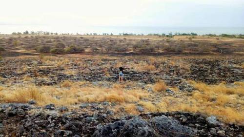 How do I explain this feeling? . . #findingme . . . #verenanatasia #indonesia #indonesiatimur #sumba