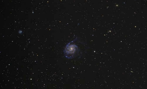 M101, the Pinwheel galaxyby Adam Evans