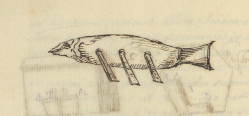 This week, we’re looking at manuscript doodle highlights.This is a fish-shaped boat from LJS 1