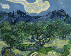 ageoftheart:  The Olive Trees  Artist: Vincent van GoghYear: 1889Type:  Oil on canvas