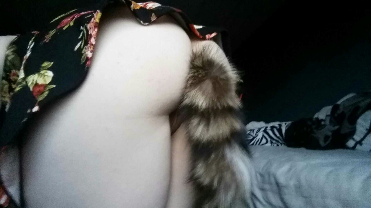 tailsandplugs:  (Source: daddysdarlingdoll)
