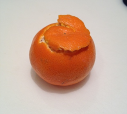 literallysame:  Don’t peel oranges Unroll