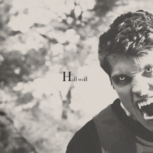 im-the-wordsmith:  A werewolf, also known as a lycanthrope (from the Greek lykos, “wolf”, and anthrōpos, “man”), is a mythological or folkloric human with the ability to shapeshift into a wolf or a therianthropic hybrid wolf-like