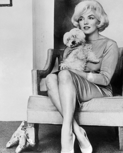 happyheidi:Marilyn Monroe + Borzoi’s <3 adult photos