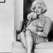 happyheidi:Marilyn Monroe + Borzoi’s <3 and more  🐕 