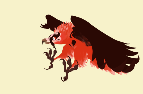 raedioisotope:Day 4- draw an animal you’ve never drawn before.A bearded vulture!I’m getting better a