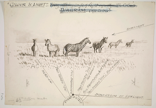 smithsonianlibraries:Can a zebra change its stripes?While sketching zebras in Sudan, Abel Chapman (1