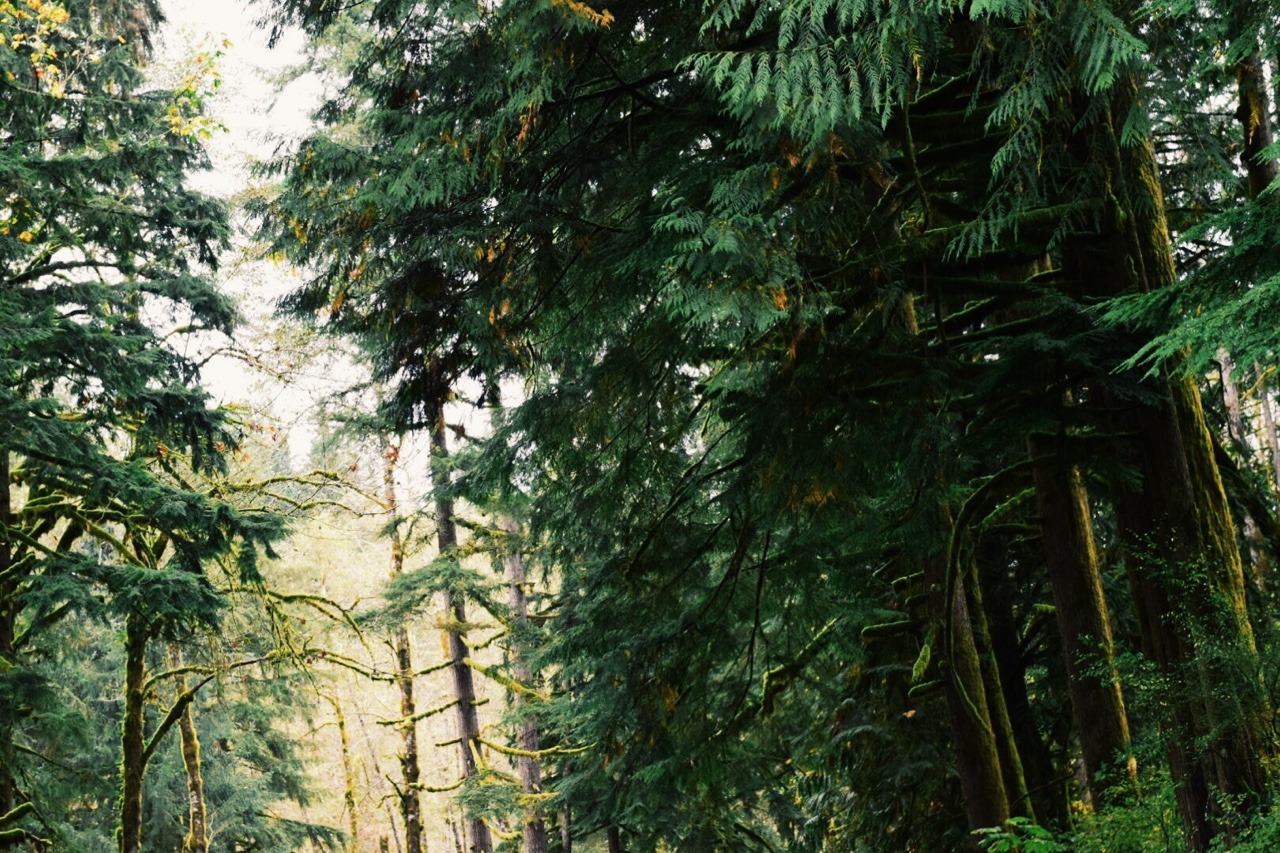 sex-lies-and-bowties:  Lost boy