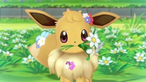 tinytheursaring: eowynwise: Eevee loves you unconditionally.  i love Eevee unconditionally