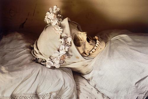 Rosamond Purcell, Skeleton of an Unmarried Woman, 1993,Cibachrome,Courtesy the artist.