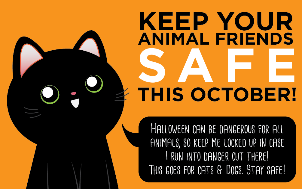 thetinytabby:  thetinytabby:  I’ve gotten several requests for a PSA about animal
