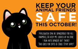 thetinytabby:  thetinytabby:  I’ve gotten several requests for a PSA about animal safety during Halloween season.Just to be safe, please keep your animals inside when we start getting close to the 31st. Besides crowds of unfamiliar trick-or-treaters,