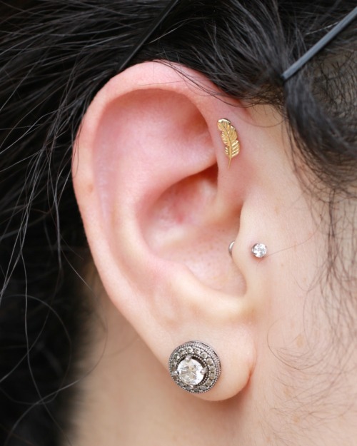 Fresh forward helix piercing with a yellow gold feather by BVLA