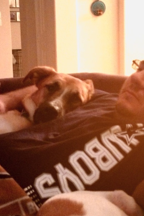Dogs