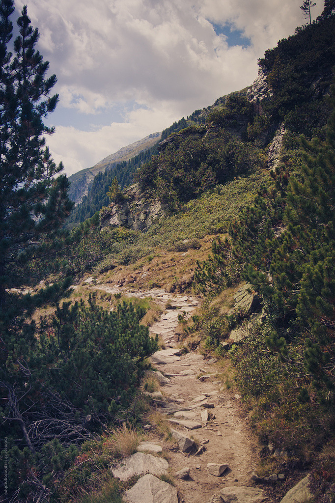 natureac:  This blog will make you feel at peace 
