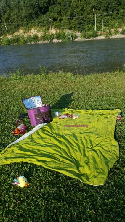 werenotadulting:  Padded picnic on the river