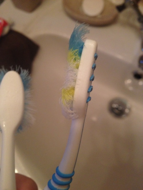 dogwithhat: My brothers toothbrushes over the past month Why is he so angry