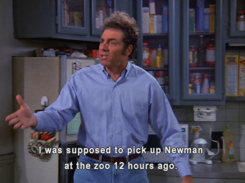 newman seinfeld