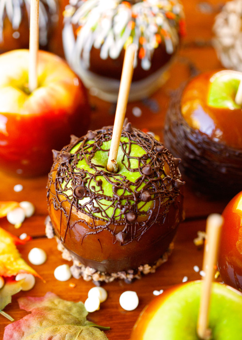 sweetoothgirl: Perfect Caramel Apples