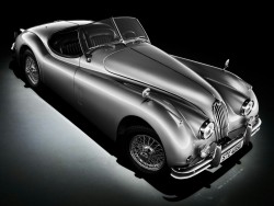 packardbaker:  Jaguar XK-140 