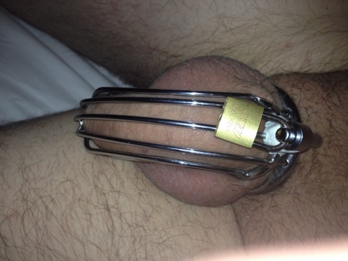 Locked By My Wife porn pictures