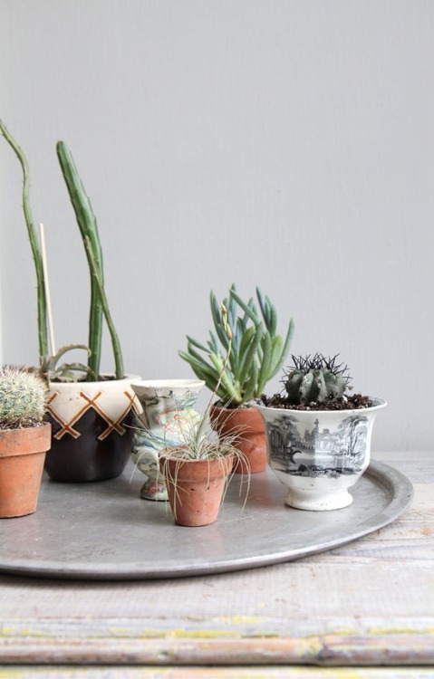 uncovet:
“ In the last year or so, we’ve seen a lot of new & cool plant decor techniques like above. If you’re a plant novice or too busy to water frequently, buy these plant kits that literally water themselves. Surround them with easy to maintain...