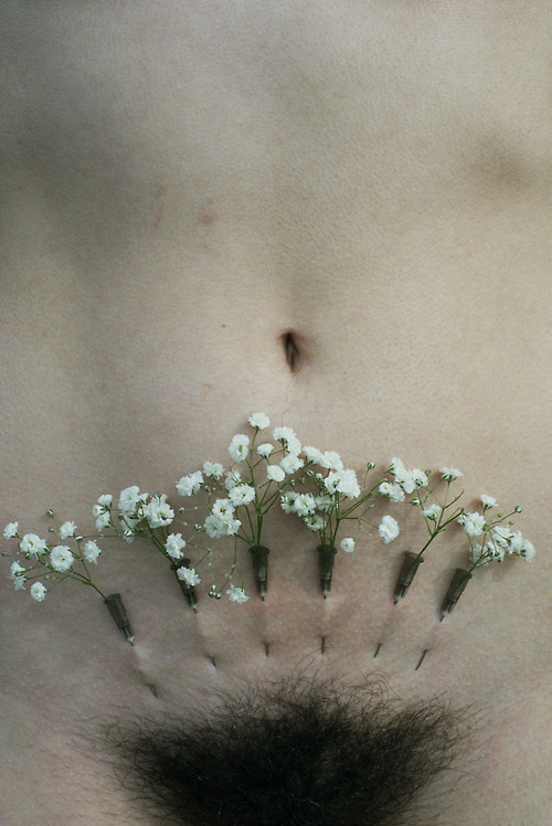 toaworminhorseradish:  So strangely beautiful 