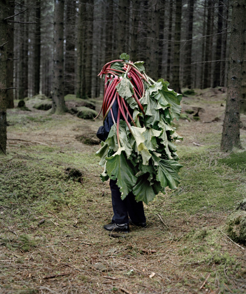 lepetitchatblanc:  lonepoetry:  mymodernmet:  Playful Seniors Wear Organic Materials to Personify Na