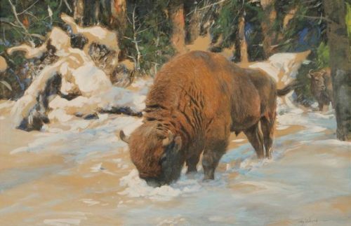 art-and-things-of-beauty:European Bisons by Wilhelm Kuhnert (1865 - 1926 