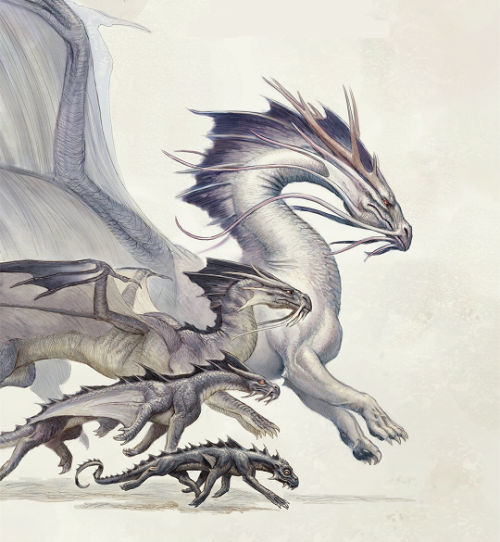 madnessmadness: pandoraas: Natural History of Dragons Series by Marie Brennan Art by Todd Lockwood T