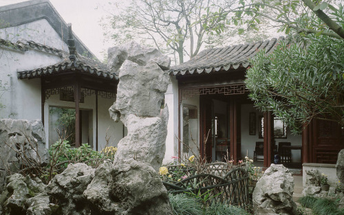 fuckyeahchinesegarden:Suzhou garden, China.