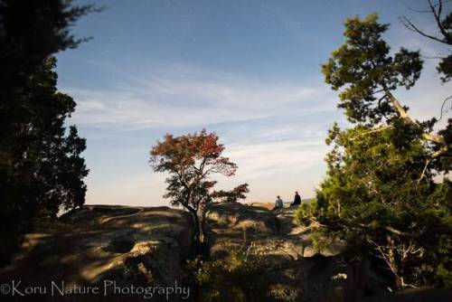Garden of the gods, shawnee national forest, under the full moon. photo by me #orginalphotographer #