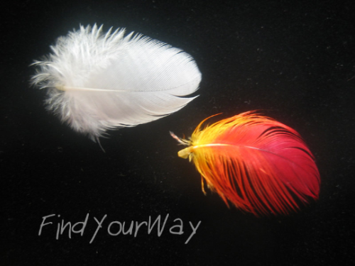 phoenix down pendant. glass vial with real cork stopper; humanely collected free-range feathers dyed
