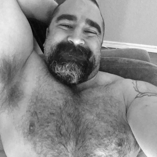 hairychestg:  abeautifulindiscretion:  Bear In Mind   hairychestg 