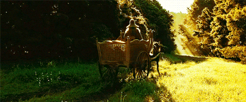 tlotrgifs:The road goes ever on and on…