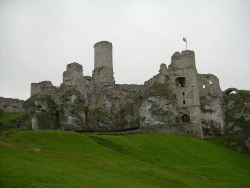 addie-black:Ruins of medieval castle in Ogrodzieniec, Poland.