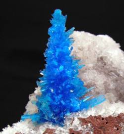 earthstory:  Mineral Christmas treeWhile we recently covered this mineral at http://tinyurl.com/k48zfra, we though we would share this spray of pentagonite cristals in honour of the festive season. Best wishes to all our readers. LozImage credit: Fabre