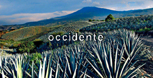 memojazo: aliyamustafina:   The eight regions from Mexico    Occidente in the house  El Bajio representin’