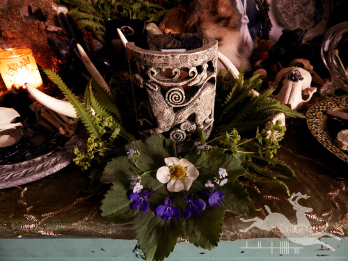 unfetteredwood: In late spring I got a package from a lovely lady I did a swap with, Lisa of Aranea 