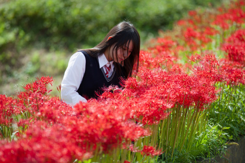 PORTRAIT PHOTO SENDAI / 2015model 凩さん 9月。仕事帰りに見つけた彼岸花のある場所に制服姿の凩さんに立って頂きました。超ロングの黒髪が少しミステリアス。