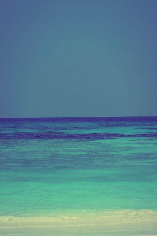 one night please