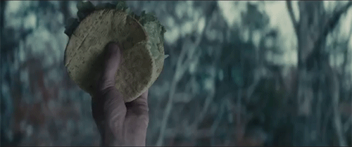 sizvideos:  Katniss is really in love with Pita - watch this hilarious video 