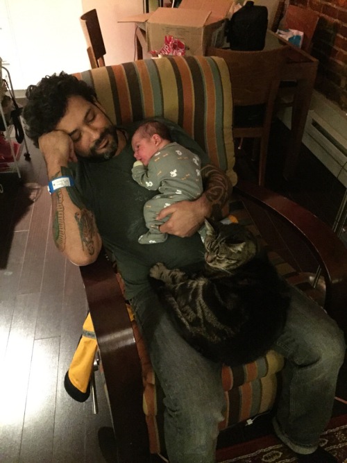 cute-overload:  Just came home with my newborn son… My cat isn’t the jealous type…http://cute-overload.tumblr.com source: http://imgur.com/r/aww/Lq48z1s