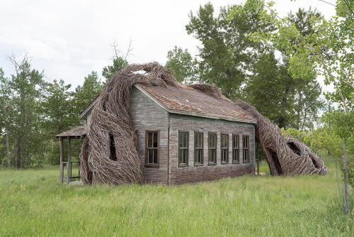 &ldquo;Daydreams,” Tippet Rise Art Center, Fishtail, Montana, USA, Cushing Terrell in