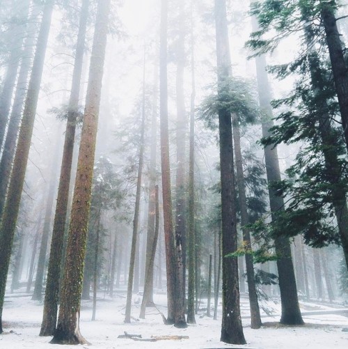 quiet-nymph:Photography by Kyle Kuiper