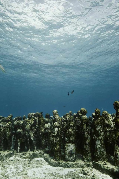asylum-art:  An Underwater Museum with SculpturesEn 2009, dans l’océan de Cancun, le sculpteur Jason deCaires Taylor a conçu une sorte de musée sous l’eau, en installant des  sculptures quasi-mythologiques au milieu des requins. La photographe