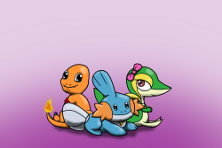 Steven the Charmander, Mordecai the Mudkip and Elizabeth the Snivy.