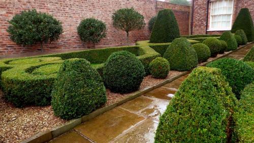 A York Box Garden.