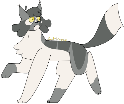 [Image Descriptions: Two digital drawings of Swiftbreeze from the Warrior Cats books. The images are